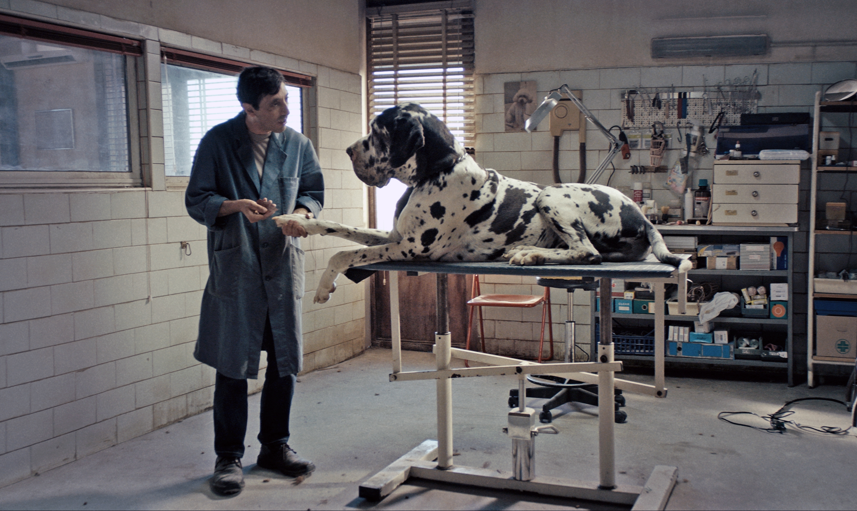 Cannes-certified thriller Dogman takes an unlikely route to