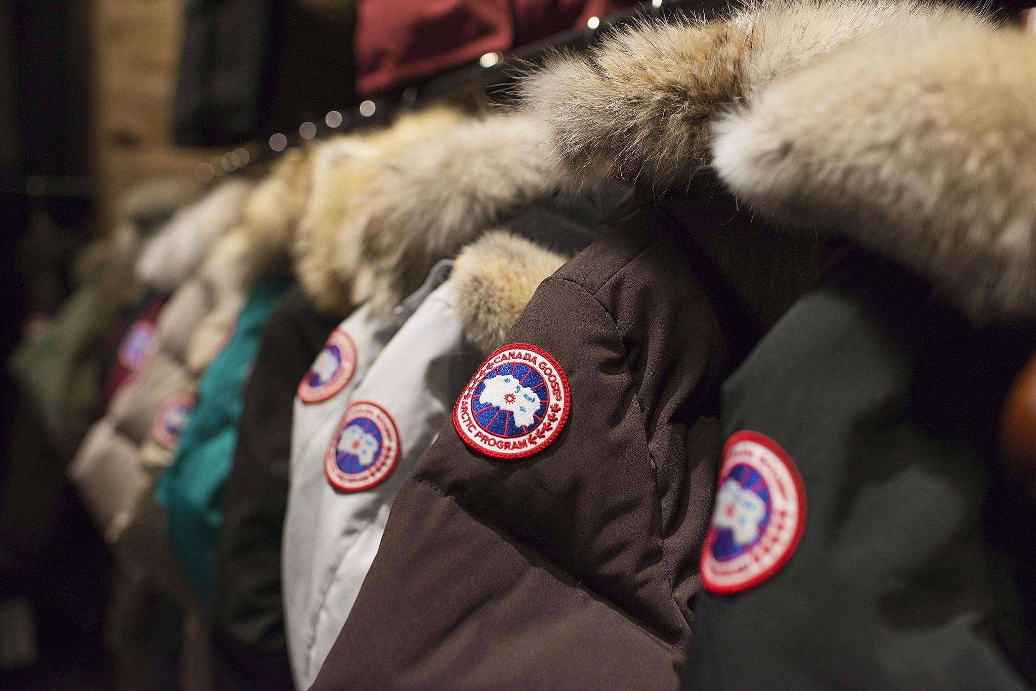 Canada goose hotsell holdings market cap