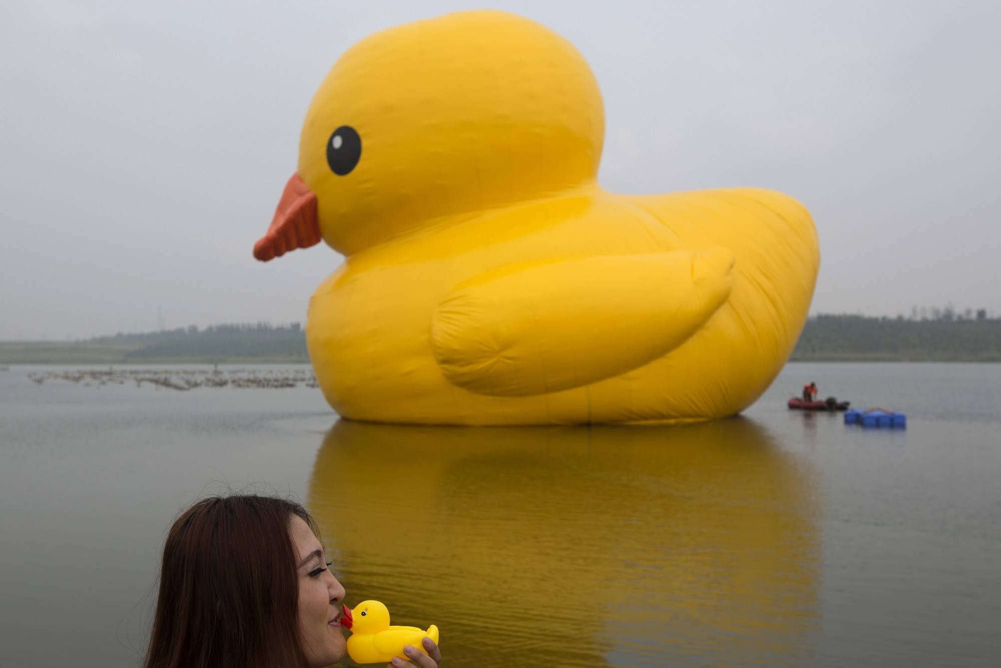 Huge rubber store duck for sale